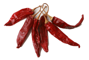 Dried-Red-Chilli-English-Philosophy