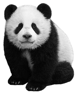 panda-English-Philosophy