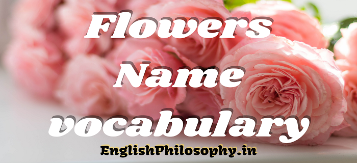 Flowers Name - English Philosophy