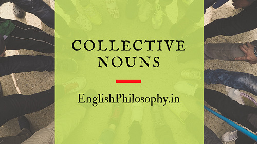 Colletive Nouns - English Philosophy