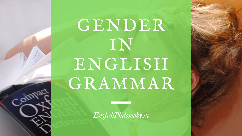 Gender-in-english-grammar