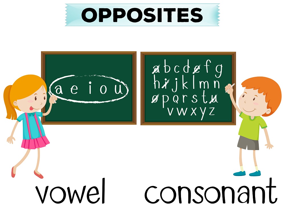 What are vowels and consonants - rafpaint