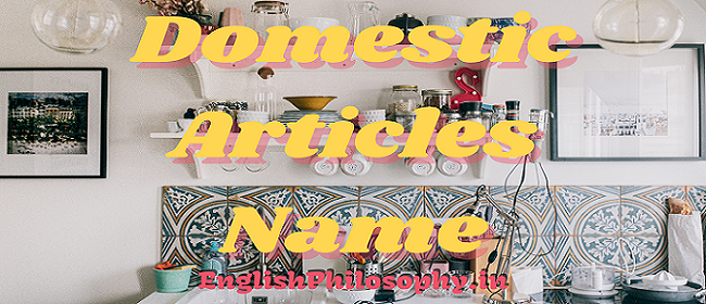 Domestic Articles Name - English Philosophy