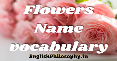 Flowers Name - English Philosophy