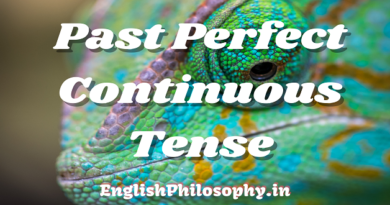 Past Perfect Continuous Tense - English Philosophy