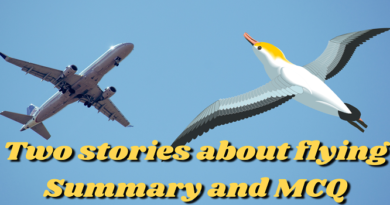 Two stories about flying - Summary and MCQ - English Philosophy