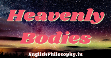 Heavenly Bodies - English Philosophy