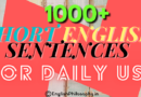 Short English sentences for daily use - English Philosophy