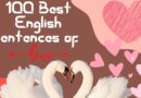 100 Best English sentences of love with Hindi meaning - English Philosophy